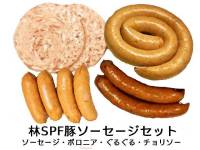 林SPFセット